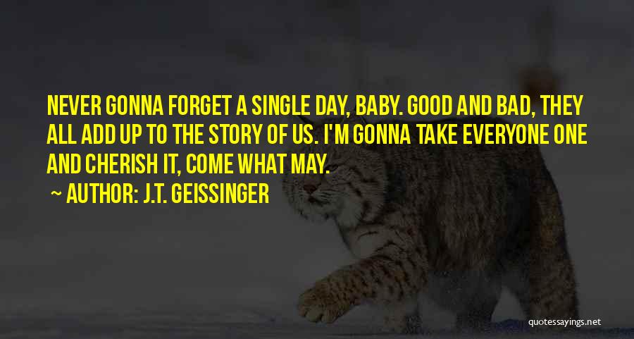 J.T. Geissinger Quotes 407753