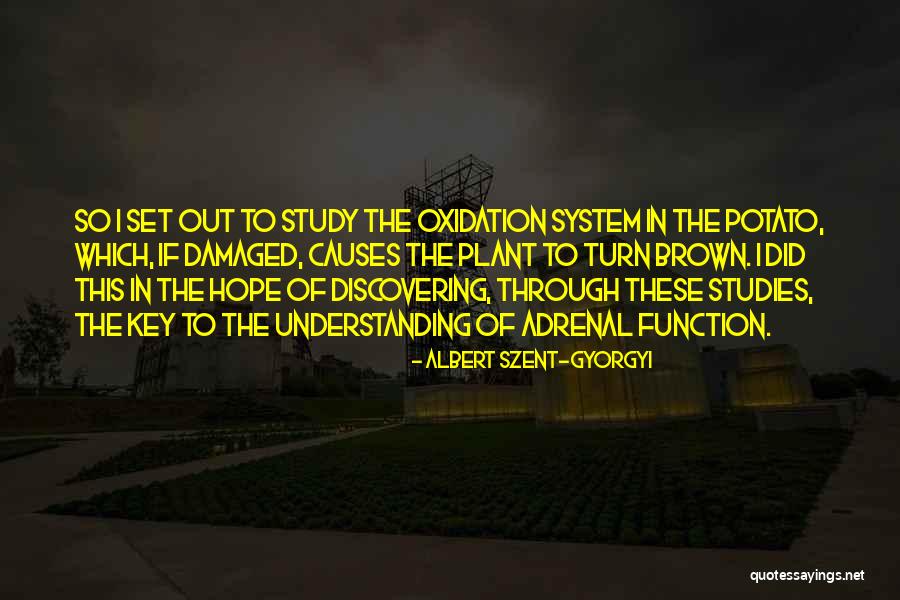 J V Hagyott Osztal K K Nyvel Se Quotes By Albert Szent-Gyorgyi J V Hagyott Osztal K K Nyvel Se Quotes By Albert Szent-Gyorgyi