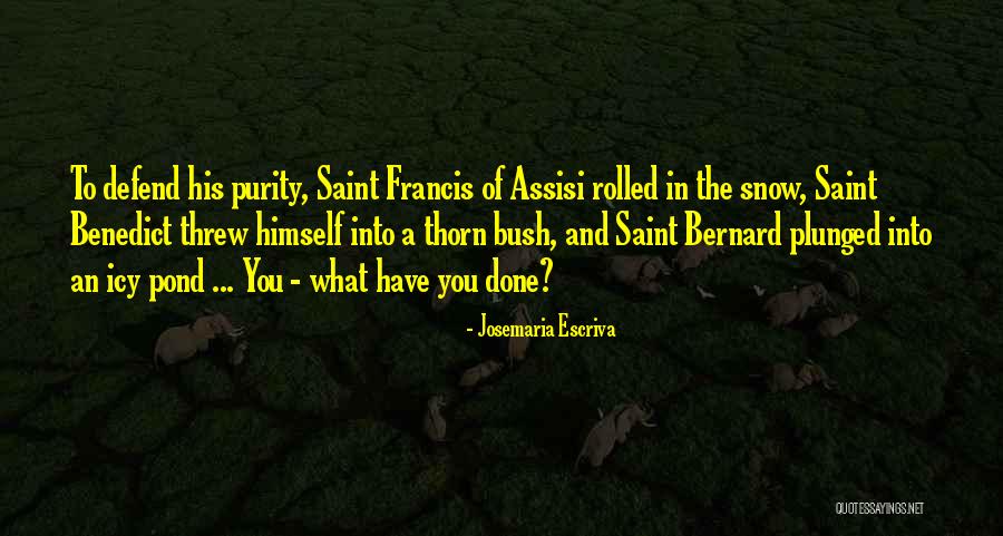 Jaberi Beauty Quotes By Josemaria Escriva