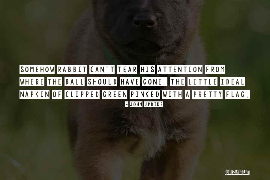 Jaborosa Quotes By John Updike