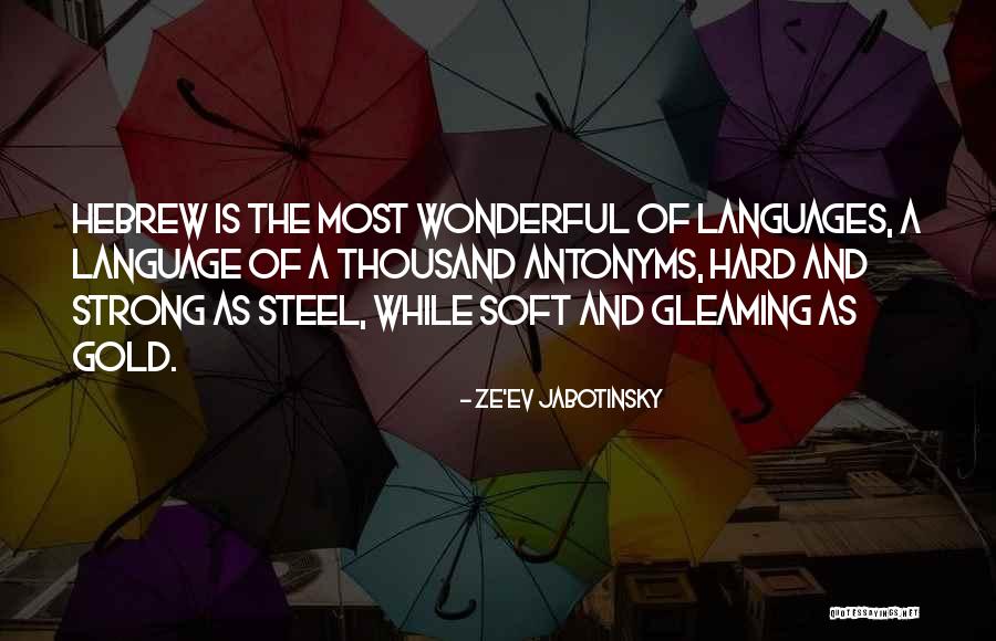 Jabotinsky Quotes By Ze'ev Jabotinsky Jabotinsky Quotes By Ze'ev Jabotinsky
