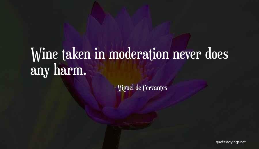 Jacelyn Ann Quotes By Miguel De Cervantes Jacelyn Ann Quotes By Miguel De Cervantes