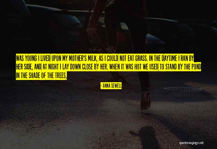 Jacina Zvuka Quotes By Anna Sewell Jacina Zvuka Quotes By Anna Sewell