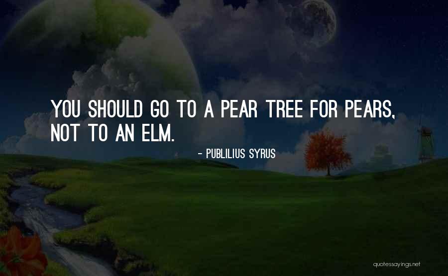 Jack Beastars Quotes By Publilius Syrus Jack Beastars Quotes By Publilius Syrus