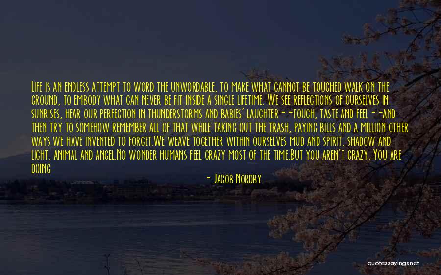 Jack Cohen Tesco Quotes By Jacob Nordby Jack Cohen Tesco Quotes By Jacob Nordby