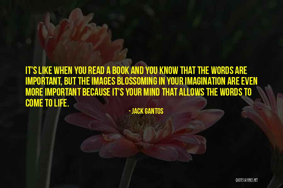 Jack Gantos Quotes 1600107 Jack Gantos Quotes 1600107
