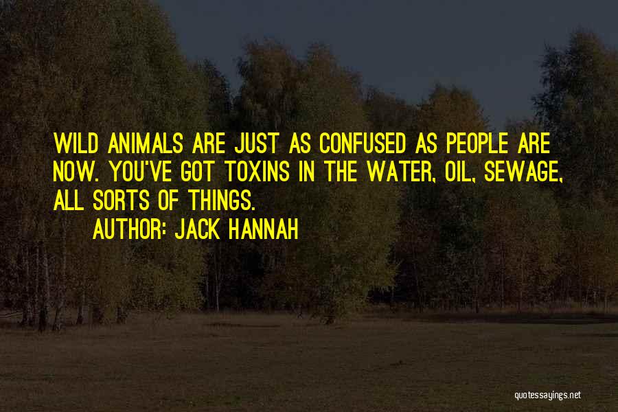 Jack Hannah Quotes 795308