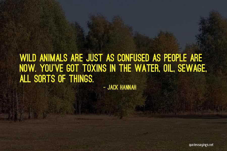 Jack Hannah Quotes 795308