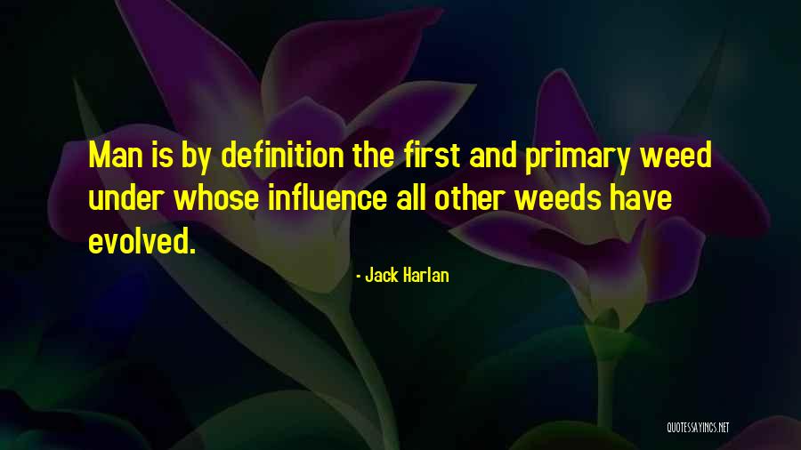 Jack Harlan Quotes 2027460