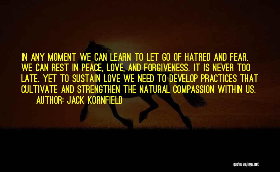 Jack Kornfield Quotes 1397815