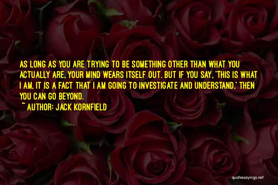 Jack Kornfield Quotes 274573