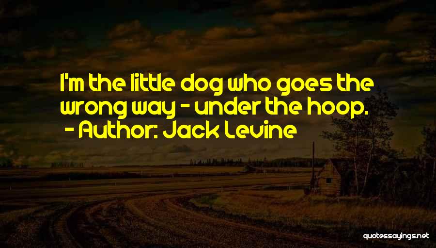 Jack Levine Quotes 1484399