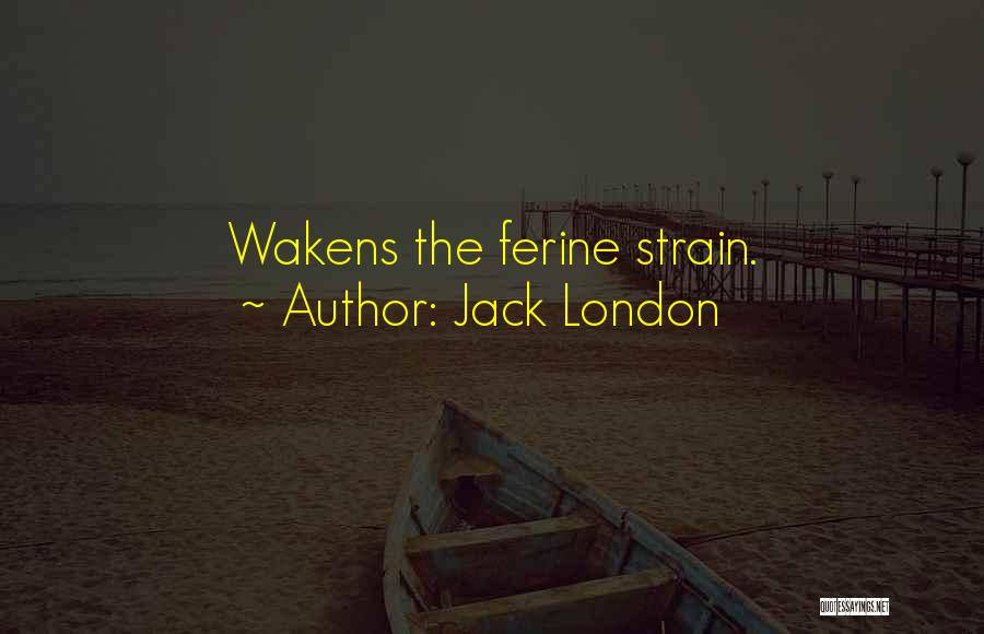 Jack London Quotes 1557454