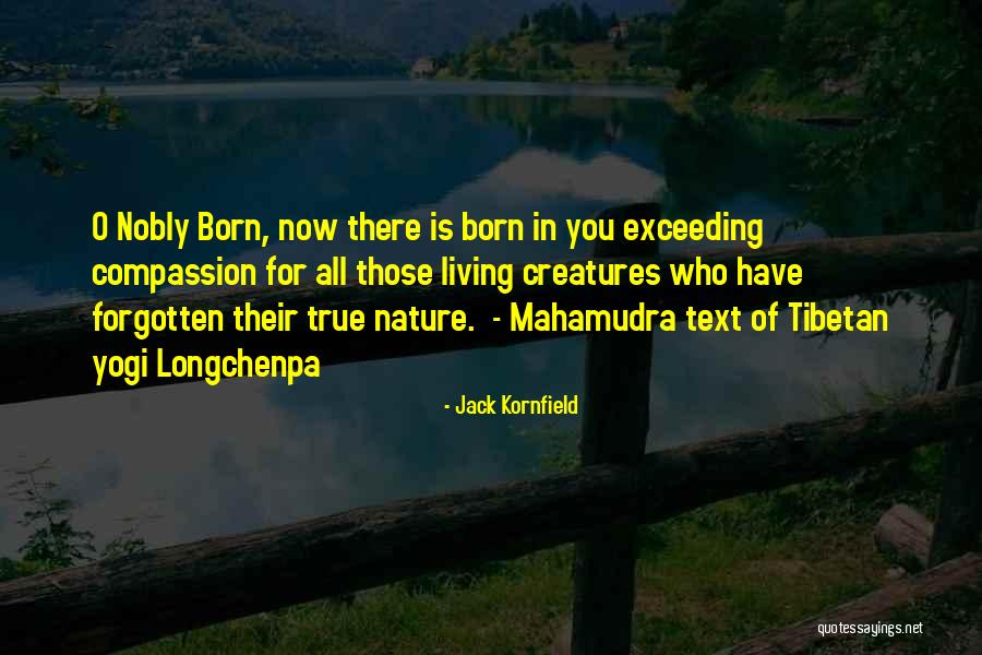 Jack O'callahan Quotes By Jack Kornfield Jack O'callahan Quotes By Jack Kornfield