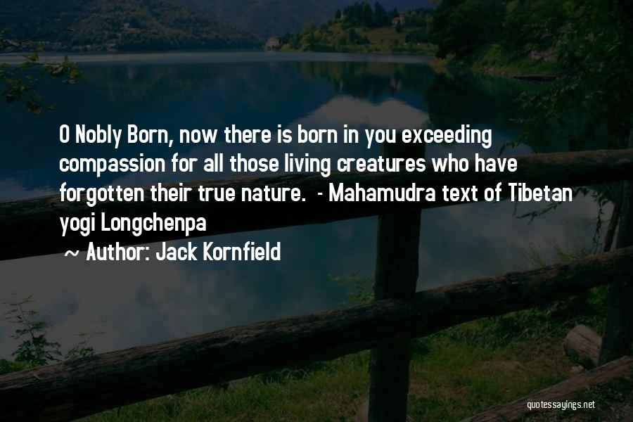 Jack O'connor Quotes By Jack Kornfield