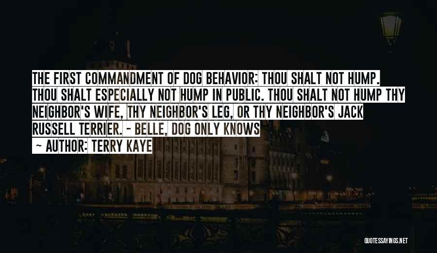 Jack Russell Terrier Quotes By Terry Kaye