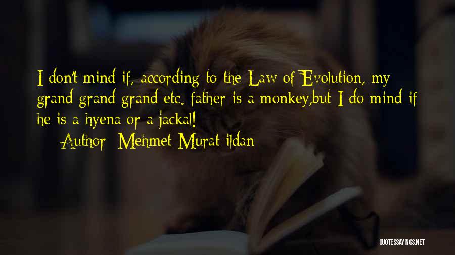 Jackal Quotes By Mehmet Murat Ildan
