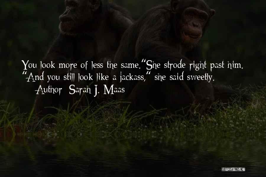 Jackass Quotes By Sarah J. Maas