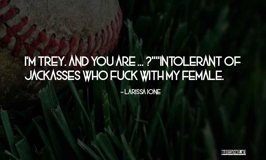 Jackasses 3 Quotes By Larissa Ione Jackasses 3 Quotes By Larissa Ione
