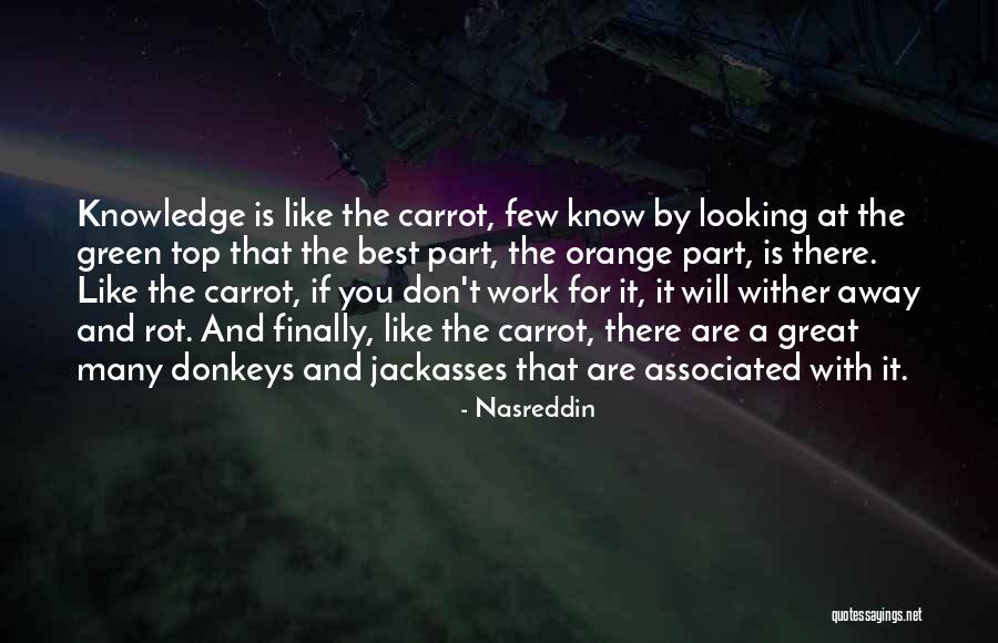 Jackasses 3 Quotes By Nasreddin Jackasses 3 Quotes By Nasreddin