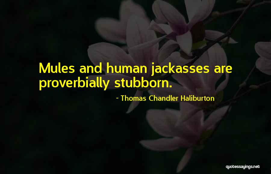 Jackasses 3 Quotes By Thomas Chandler Haliburton Jackasses 3 Quotes By Thomas Chandler Haliburton