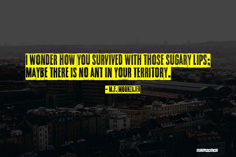 Jacket The North Quotes By M.F. Moonzajer Jacket The North Quotes By M.F. Moonzajer
