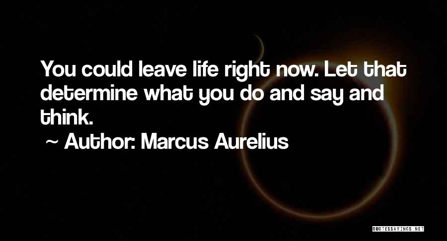 Jackins And Perkins Quotes By Marcus Aurelius