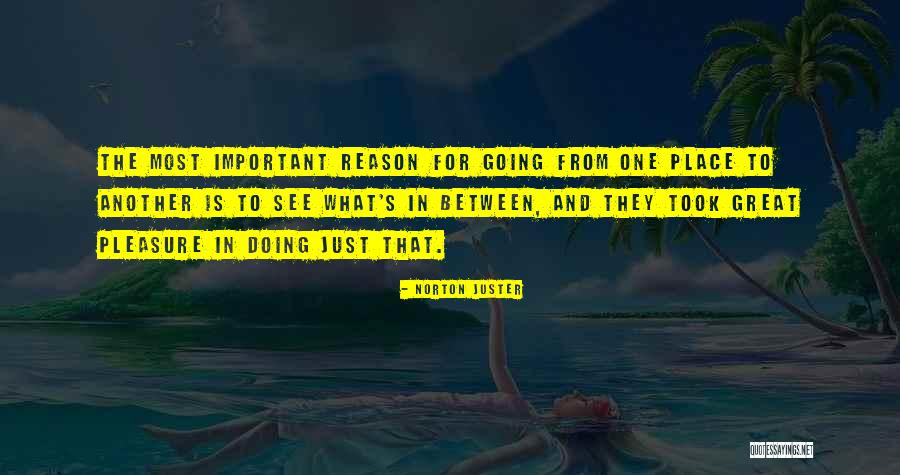 Jacklyn Braasch Quotes By Norton Juster Jacklyn Braasch Quotes By Norton Juster