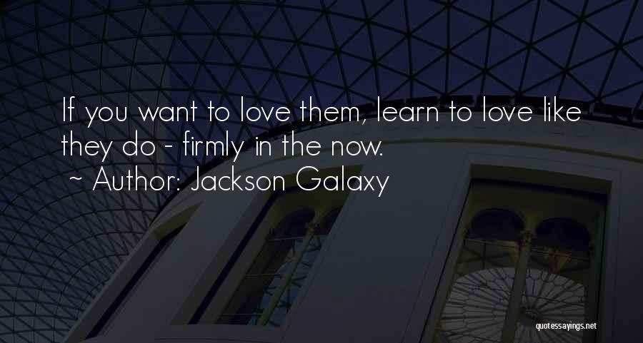 Jackson Galaxy Quotes 1171727