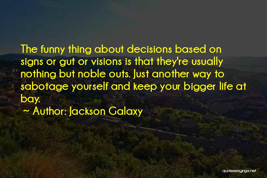 Jackson Galaxy Quotes 1537028