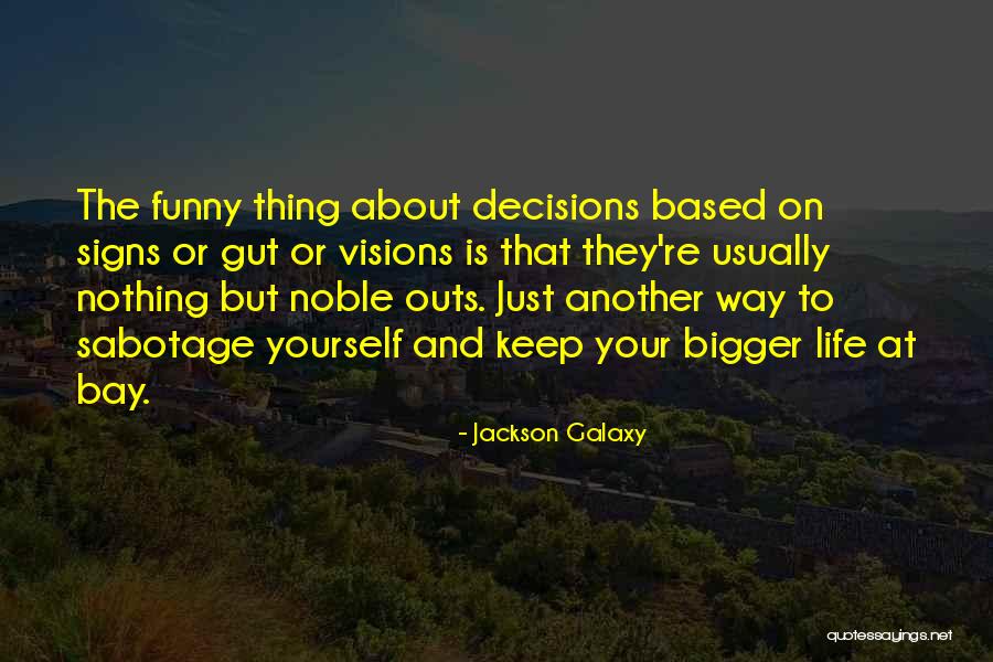 Jackson Galaxy Quotes 1537028