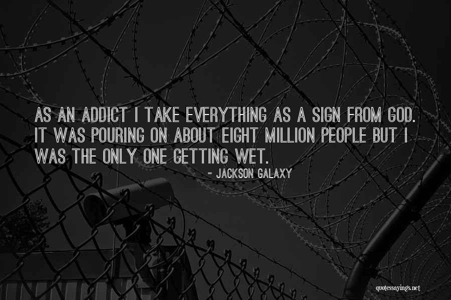 Jackson Galaxy Quotes 392729 Jackson Galaxy Quotes 392729