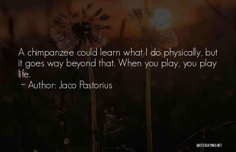 Jaco Pastorius Quotes 1366401