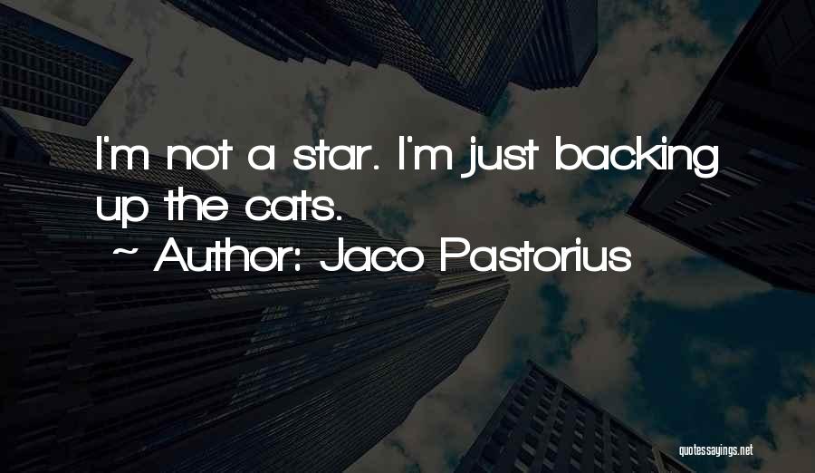 Jaco Pastorius Quotes 1767845