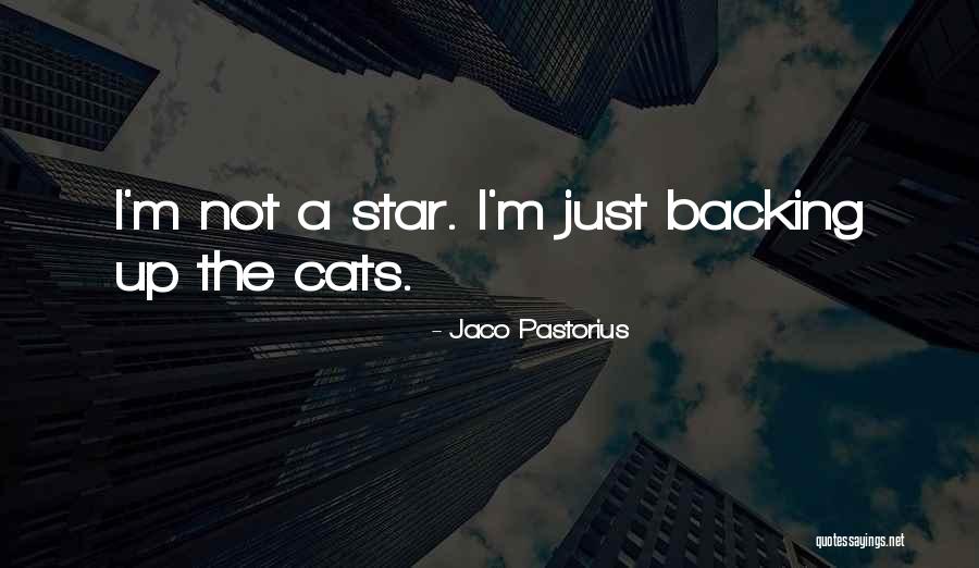 Jaco Pastorius Quotes 1767845