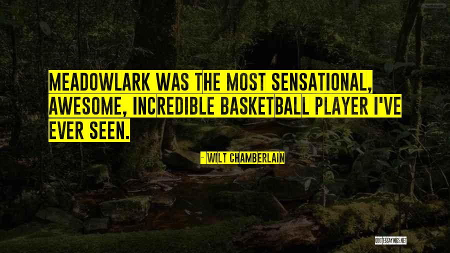 Jacob Leisler Quotes By Wilt Chamberlain Jacob Leisler Quotes By Wilt Chamberlain