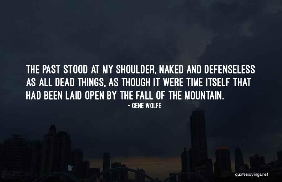 Jacobbergeractor Quotes By Gene Wolfe Jacobbergeractor Quotes By Gene Wolfe