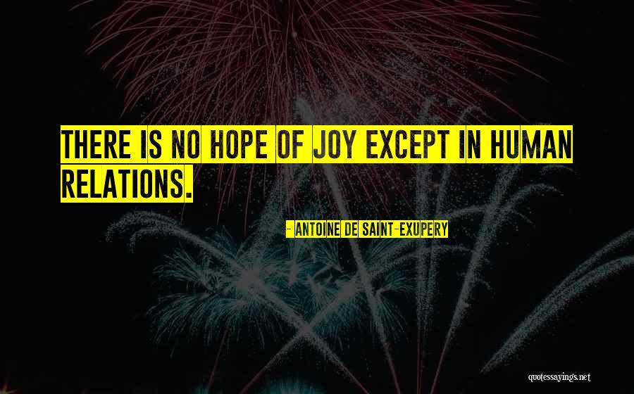 Jacobsmeyer Construction Quotes By Antoine De Saint-Exupery