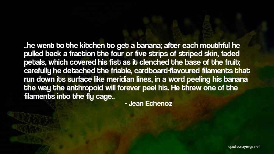 Jacoline Hill Quotes By Jean Echenoz Jacoline Hill Quotes By Jean Echenoz