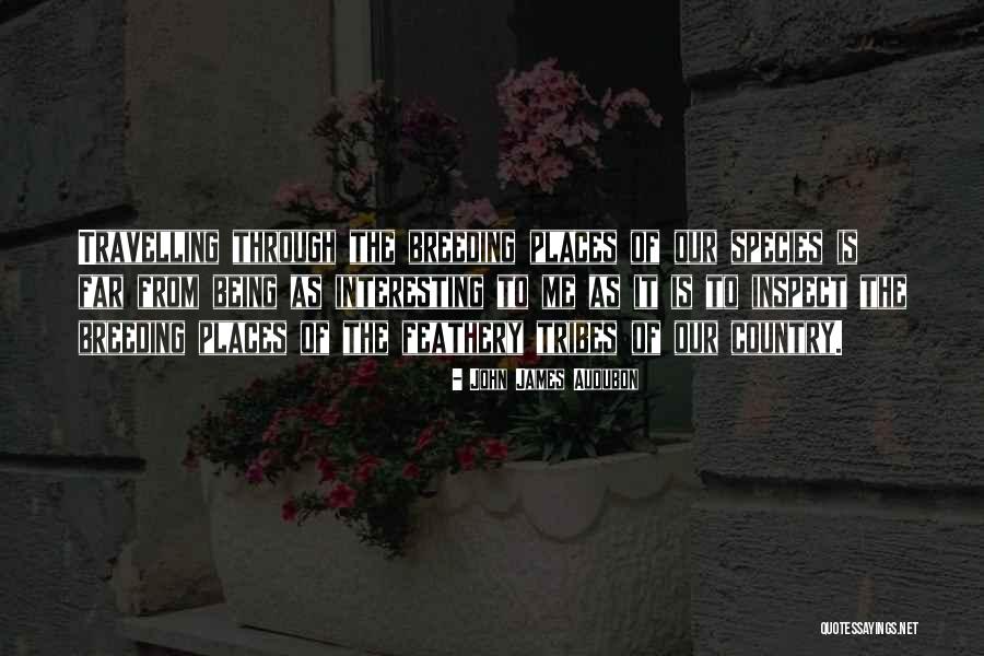 Jacome De Bruges Quotes By John James Audubon Jacome De Bruges Quotes By John James Audubon