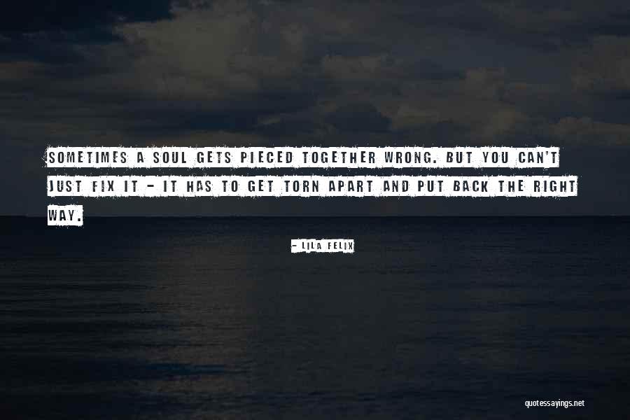 Jacomet Quotes By Lila Felix Jacomet Quotes By Lila Felix