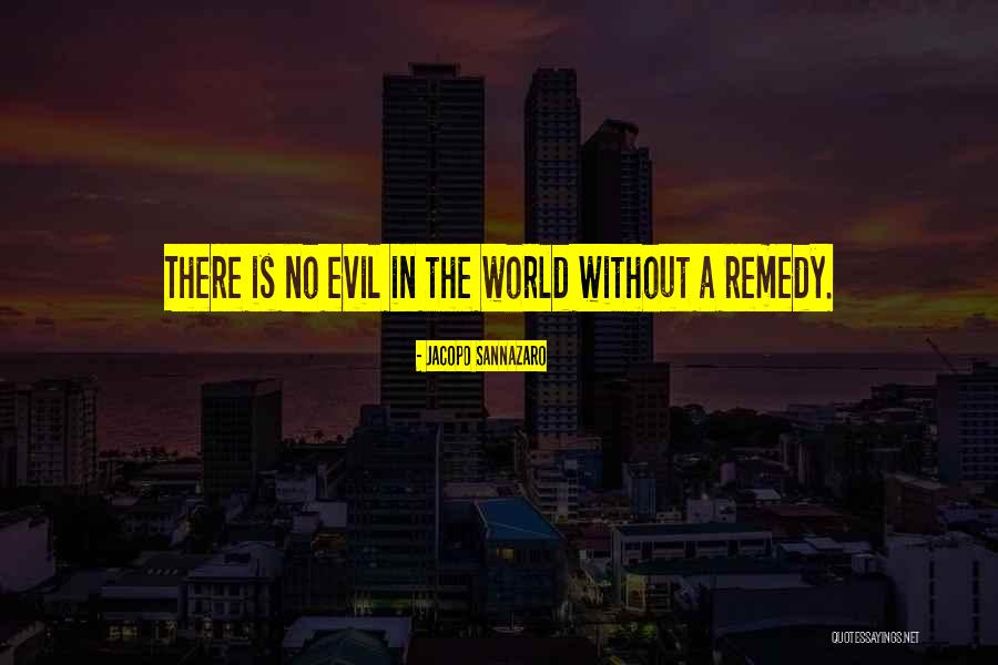 Jacopo Sannazaro Quotes 1708031