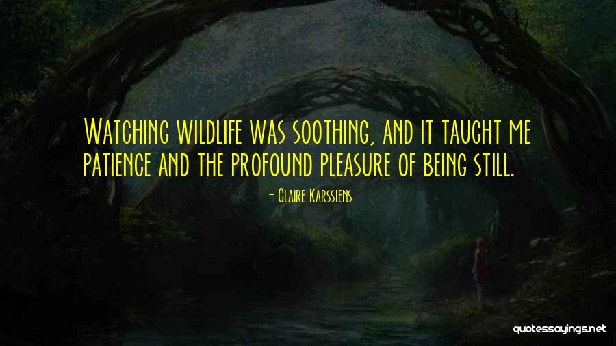 Jacquart Kacie Quotes By Claire Karssiens Jacquart Kacie Quotes By Claire Karssiens