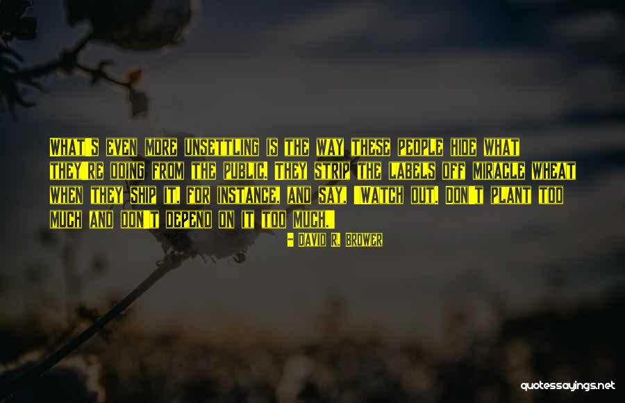Jacque Questo Quotes By David R. Brower Jacque Questo Quotes By David R. Brower