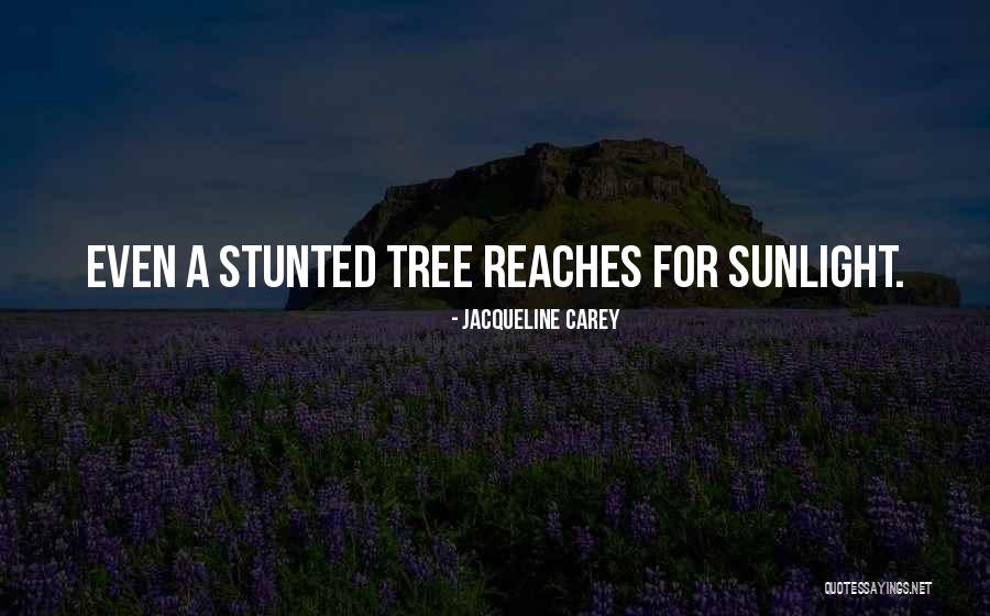 Jacqueline Carey Quotes 1544117 Jacqueline Carey Quotes 1544117