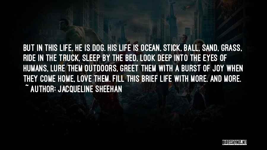 Jacqueline Sheehan Quotes 660653