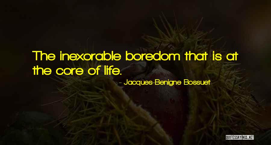 Jacques-Benigne Bossuet Quotes 518837