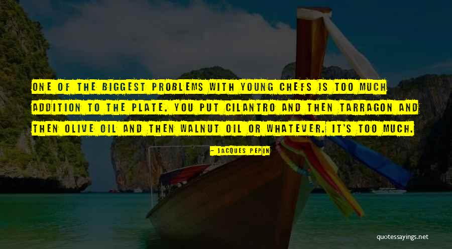 Jacques Pepin Quotes 1480380 Jacques Pepin Quotes 1480380
