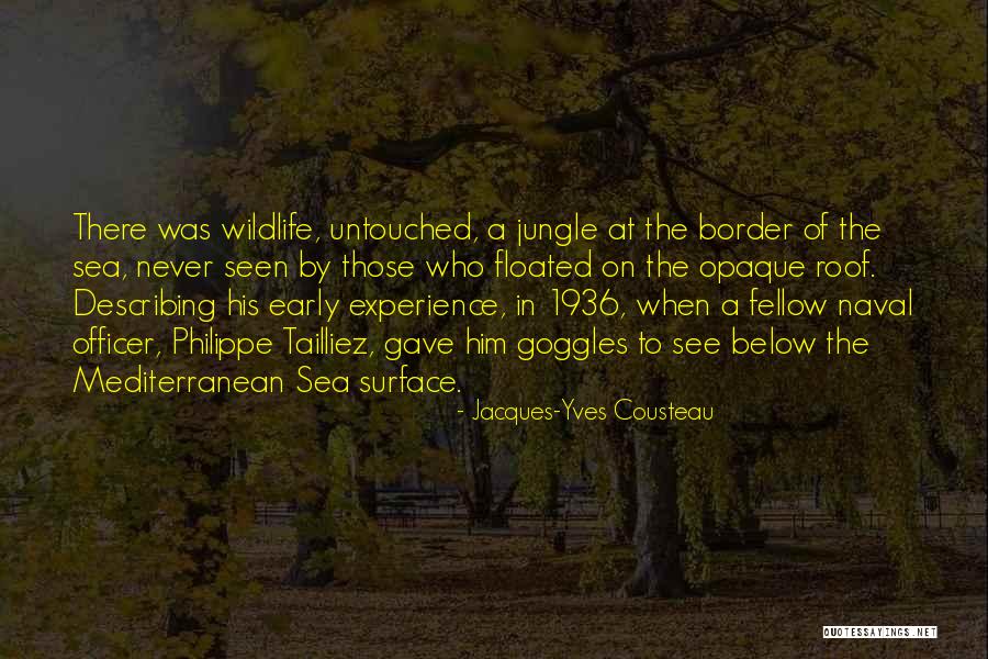 Jacques-Yves Cousteau Quotes 1289335