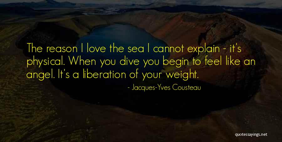 Jacques-Yves Cousteau Quotes 1330943